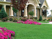 Green Day Landscaping and Lawn Care Maintenance Specialists